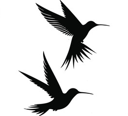 Obraz premium Two Hummingbird Silhouettes.