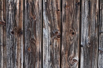 Naklejka premium Dark Pine Wood Background Close-Up