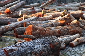 A large pile of wood logs is stacked on top of each other. The logs are brown and appear to be freshly cut.