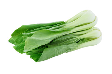 Bok choy vegetable transparent png