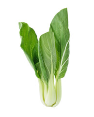Bok choy, chinese cabbage transparent png