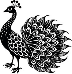 peacock silhouette vector illustration Design on a white background

