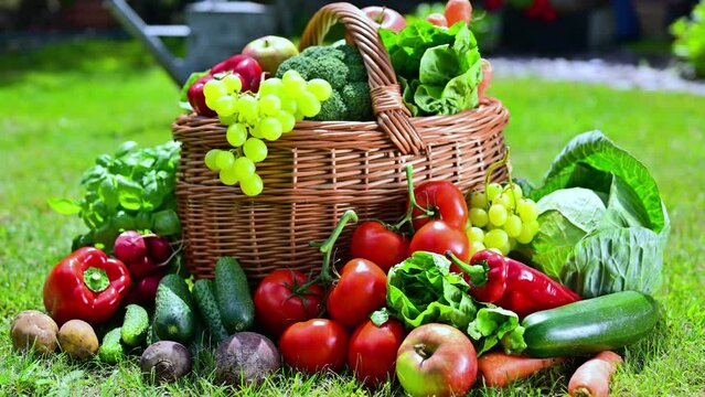 Wicker basket with vegetables and fruits in the garden