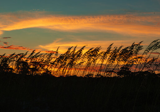 Sunset Dunes