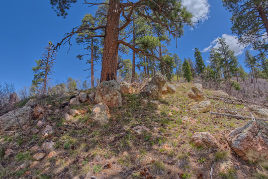 Rocky slope to Atoko Point on North Rim AZ