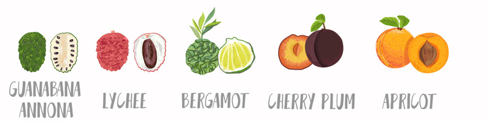 Vector vegetables icons set in hand drawn style. Collection farm product for restaurant menu, market label.