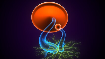 agarics mushroom structure. 3d illustration