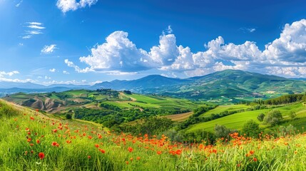 Fototapeta premium a beautiful summer landscape featuring green hills with poppies and cypress trees, under a blue sky with clouds.