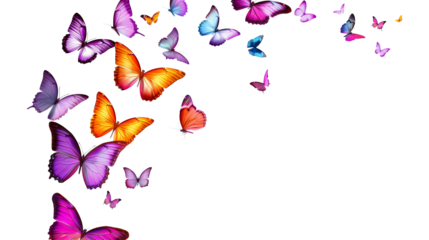 Soaring colorful butterflies isolated on transparent or white background, png