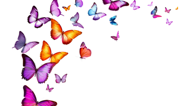 Soaring colorful butterflies isolated on transparent or white background, png
