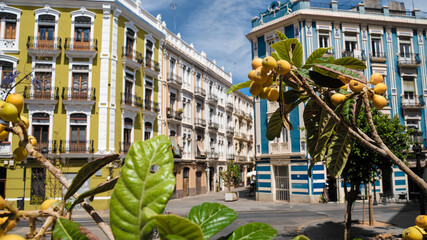 Peach tree in central Valencia, Spain with colorful architecture in background