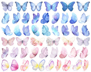 Butterfly collection. Watercolor illustration. Colorful Butterflies clipart set. Baby shower design elements. Party invitation, birthday celebration. Spring or summer decoration