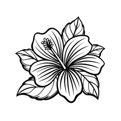Hibiscus flowers in a vintage woodcut engraved etching style. Vector illustration.