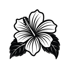 Obraz premium Hibiscus flowers in a vintage woodcut engraved etching style. Vector illustration.