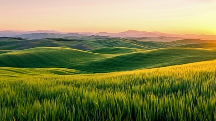 Fototapeta premium Stunning landscape of rolling green hills at sunrise, spring scenery in vibrant colors. Perfect for nature lovers.