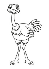 Black and White Cartoon Ostrich Vector Flat Designs, Ideal for Coloring Pages, Isolated on White Background