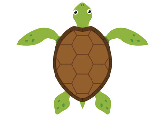Cartoon Turtle Vector Flat Design Isolated on White Background