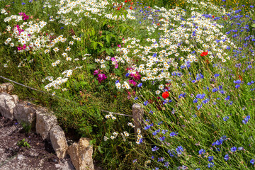 naturnah gestaltete und bepflanzte Fläche im öffentlichen Raum, Wildblumenwiese und...