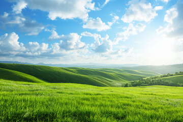 Obraz premium Summer alpine grasslands with blue sky and white cloud background