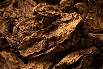 Traditional Mexican Chile Chipotle Meco full frame as background close up  