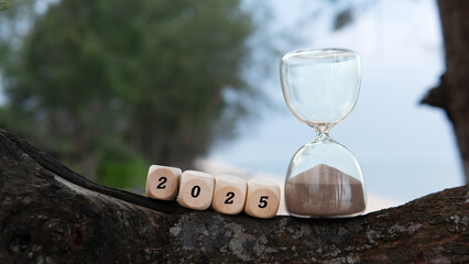 Welcoming the Year 2025