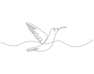 Obraz premium Continuous one line drawing of flying hummingbird. One line drawing illustration of colibri. Flying animal concept Single line. Editable outline.