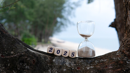 Welcoming the Year 2025