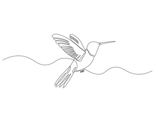 Continuous one line drawing of flying hummingbird. One line drawing illustration of colibri. Flying animal concept Single line. Editable outline.
