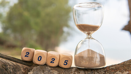 Welcoming the Year 2025