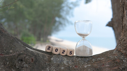 Welcoming the Year 2025