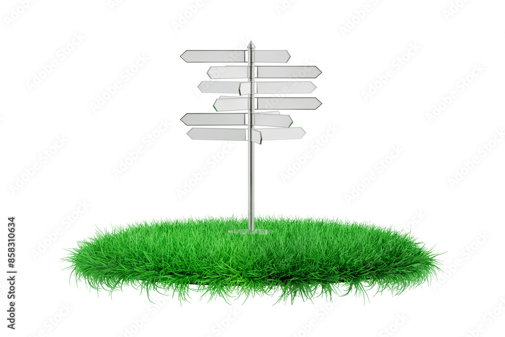 Poster white direction signpost on a green grass podium stage. 3d rendering