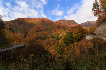 秘境 秋山郷の紅葉（日本、新潟県津南町）