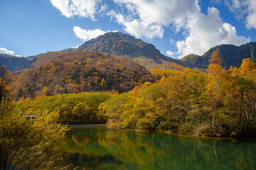 Obraz premium 上高地の紅葉・大正池と焼岳（日本、長野県）