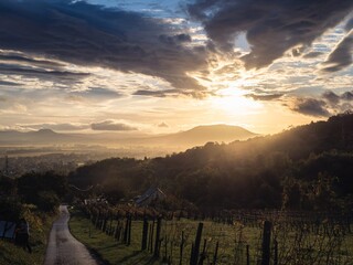 Colorful sunset sunrise over the vineyards at Balaton lake, Hungary, during autumn
