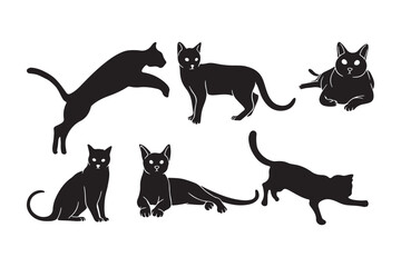 Cat vector Art & Illustration