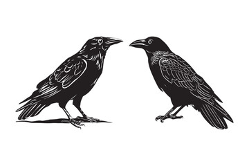 crow-bird vector silhouette Art & Illustration