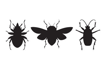 set of different insects Art & Illustration