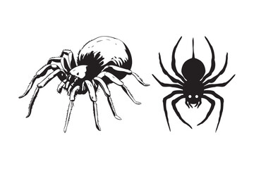  spider insect silhouette Art & Illustration