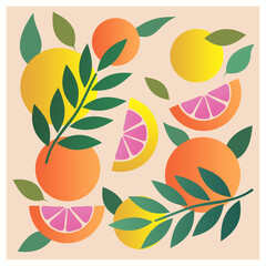 Citruses with leaves