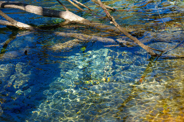 上高地・梓川の美しい水（日本、長野県）
