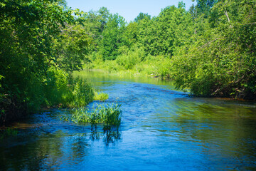 Idyllic River Flowing in a Green Forest. Calm Stream with Lush Vegetation on a Summer Day.