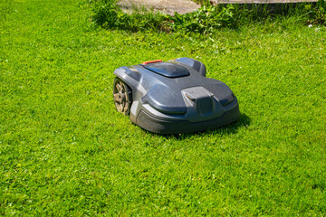 Robotic Lawn Mower Cutting Grass in Garden. Automated Mower Maintaining Green Lawn on Sunny Day