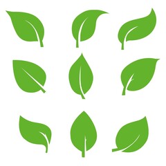 Eco green color leaf vector logo flat icon set. Isolated leaves shapes on white background. Bio plant and tree floral forest concept design.	
