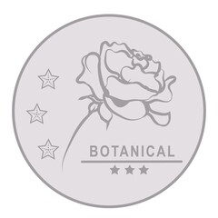 Hand drawn floral minimal botanical logo pack	