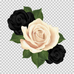 Gothic bouquet of black and white roses. Three realistic beautiful flowers for design. 