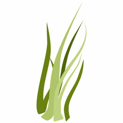 Grass plant design for banners and menus