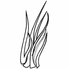 Grass plant design for banners and menus.