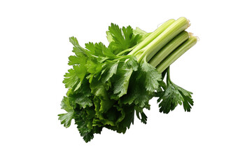 I Love Celery (PNG 10800x7200)