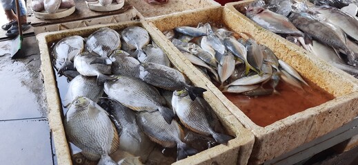 Activities of the Muara Angke retail fish market center in Jakarta. Traders sell various kinds of fish, crabs, squid, shrimp, shellfish