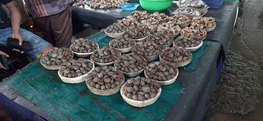 Activities of the Muara Angke retail fish market center in Jakarta. Traders sell various kinds of fish, crabs, squid, shrimp, shellfish